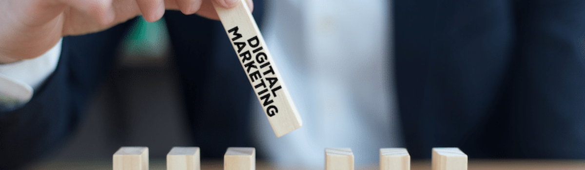Choosing Your Path: Marketing vs. Supply Chain Management After School