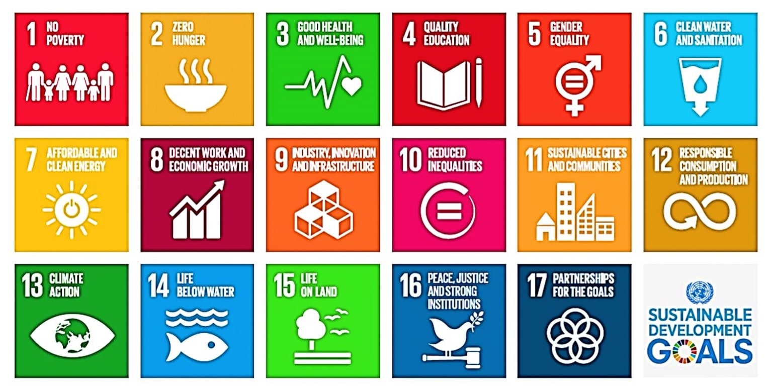 17 action areas to work towards by 2030.