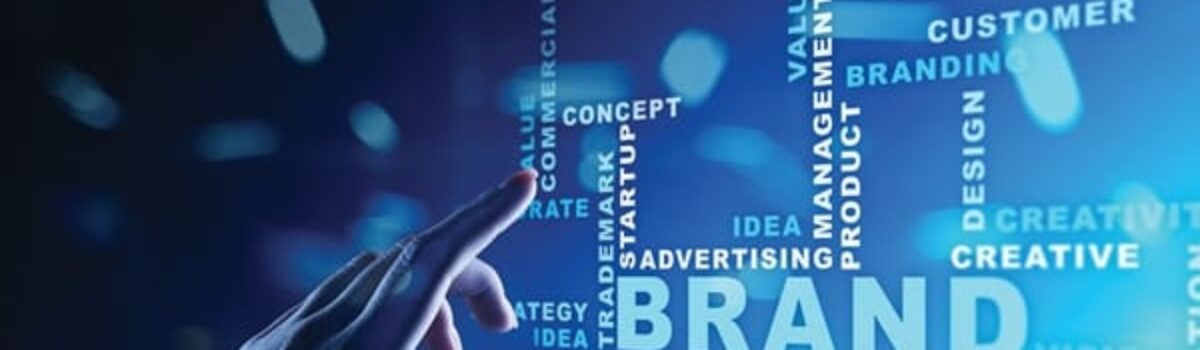 SA Brand Management – The Bachelor inspires