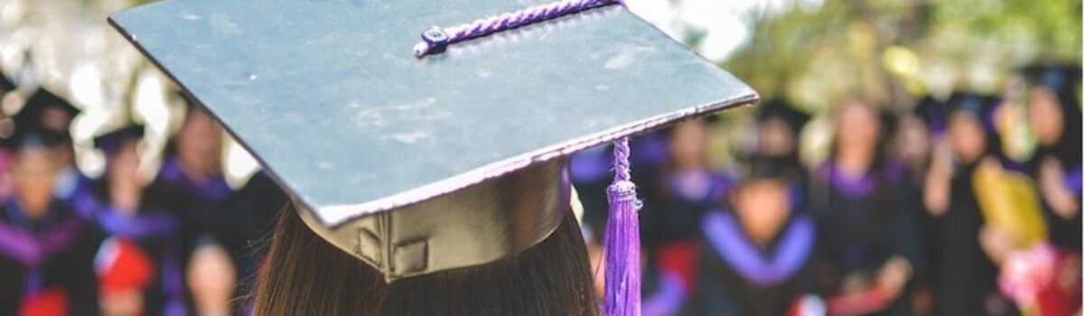 Degree vs Skills – why do you need them both