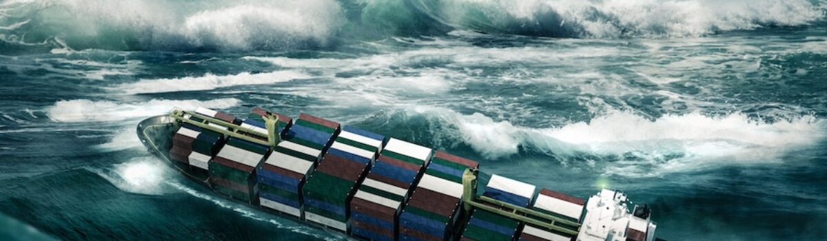 The Impact of Winter Weather on Supply Chains: Insights from South Africa