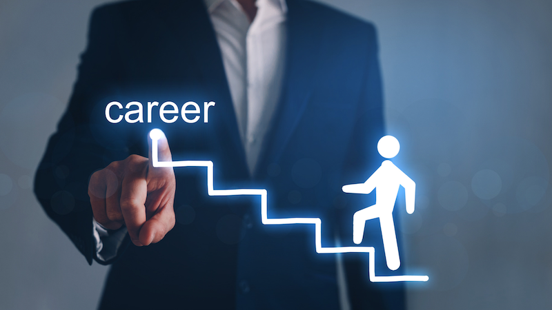 Marketing Career