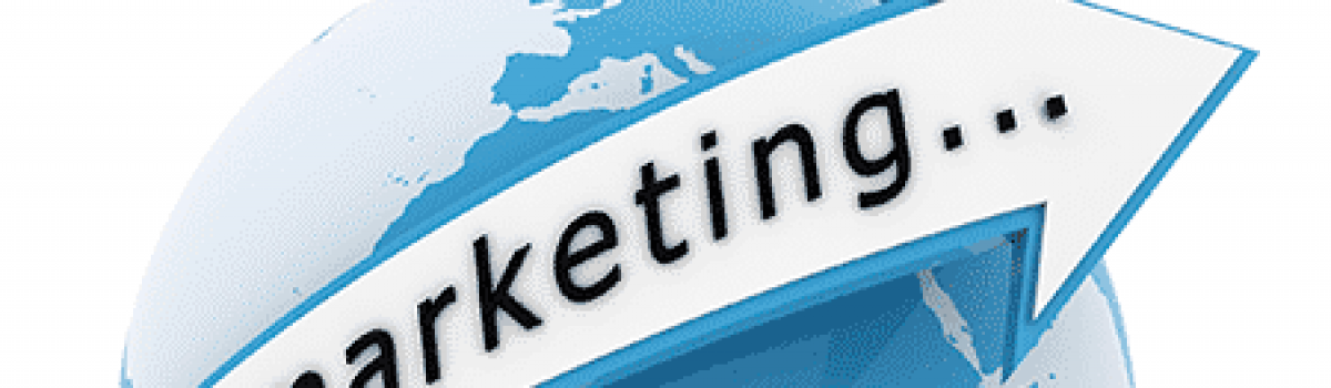 THE NEW ROLE OF THE CHIEF MARKETING OFFICER