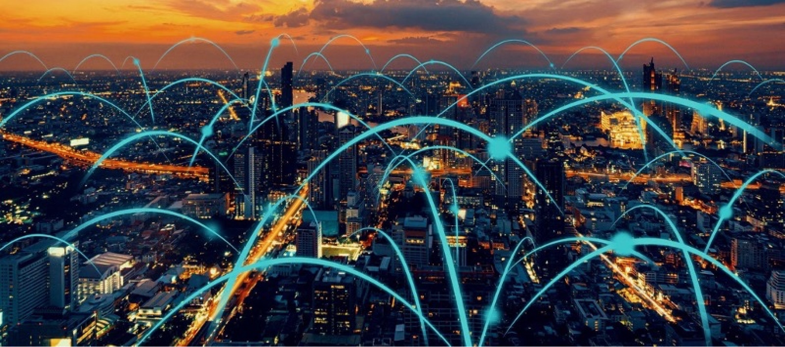 Network IMM