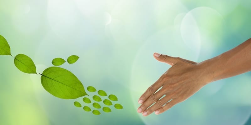 IMM GS November Blogs - Overcoming-green-logistics-challenges