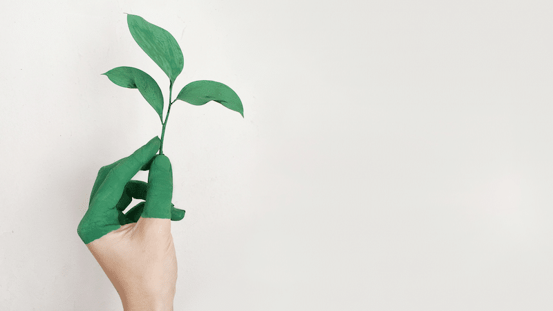 Personal Growth