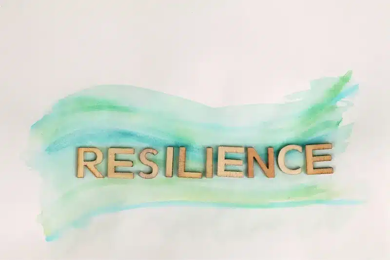 Resilience