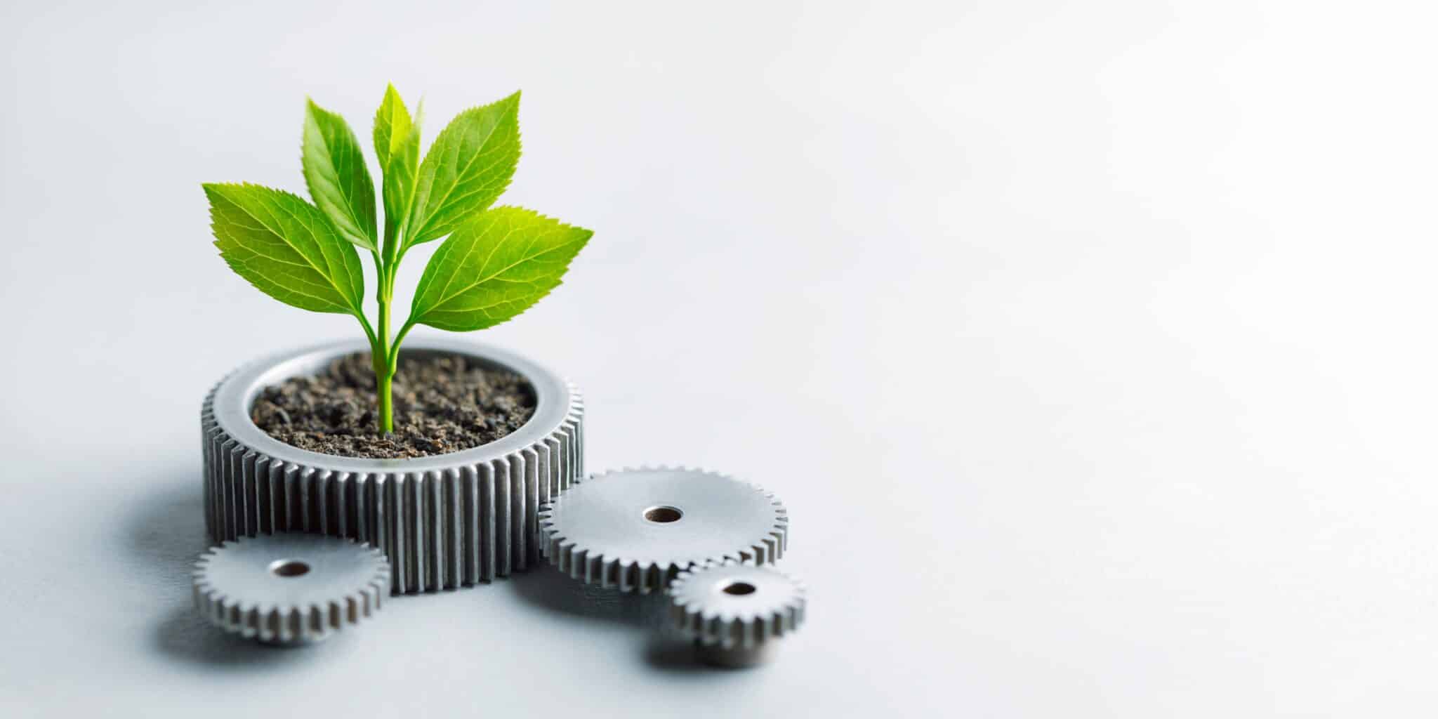Sustainability-in-supply-chains