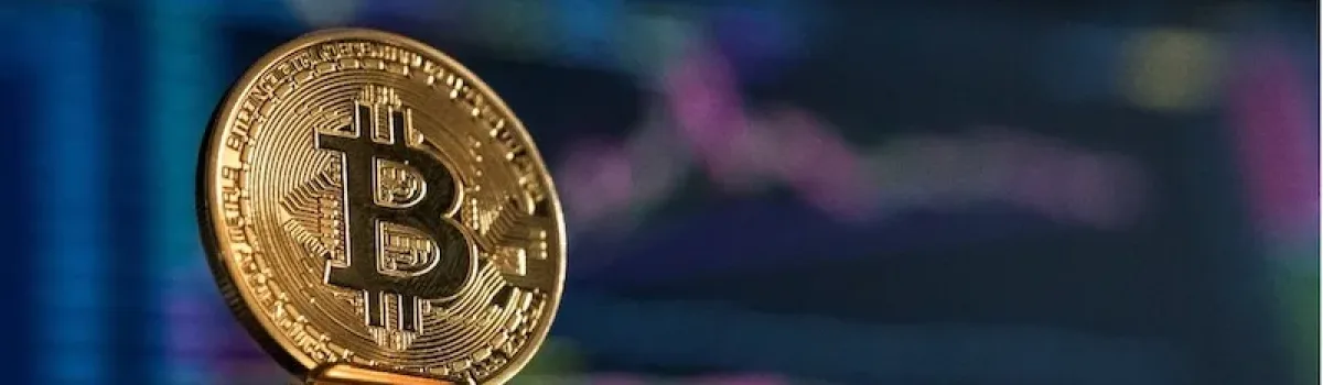 The Adoption of Blockchain Technology in Supply Chain Management