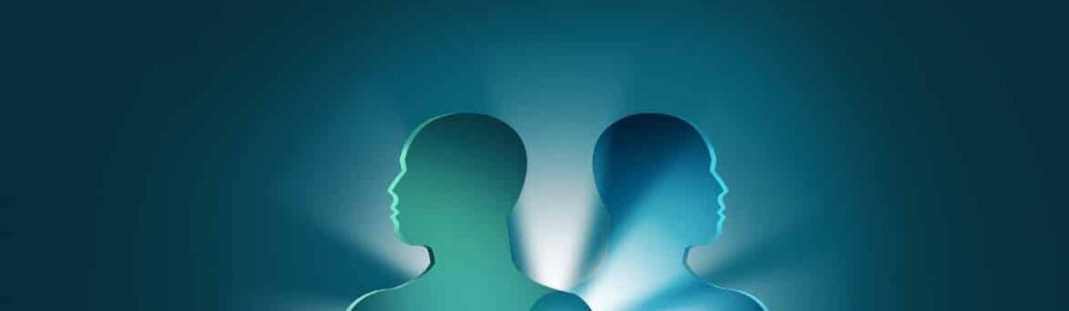 The duality of hats: A pracademic perspective