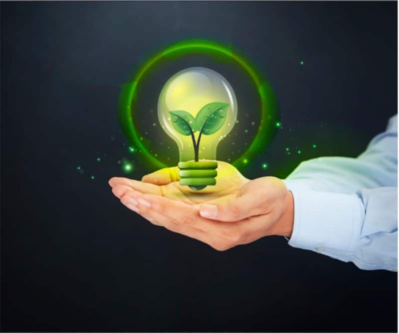 The environmental impact