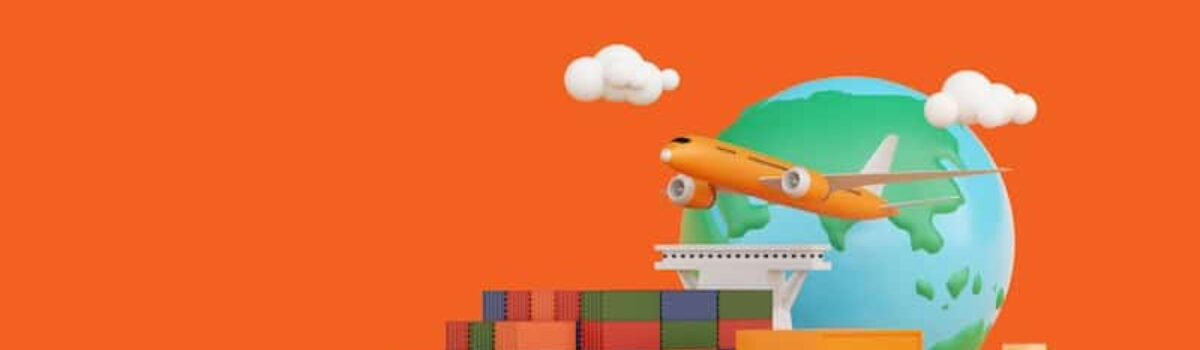 Exploring the Supply Chains of Online Giants: Shein, Wish, Temu and Takealot