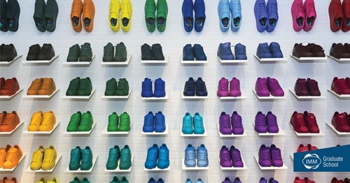 The IMM Graduate School | These shoes were made for walking the road to success web