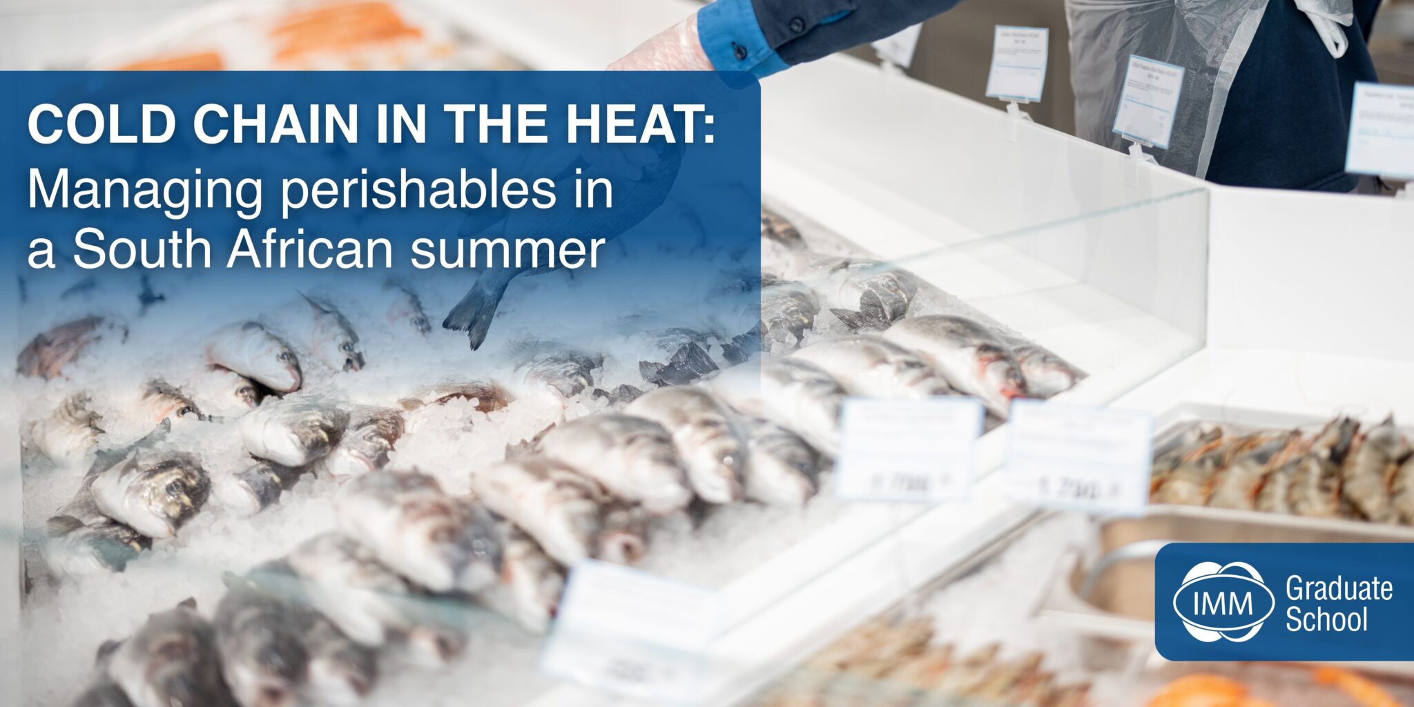 cold-chain-logistics-in-South-Africa