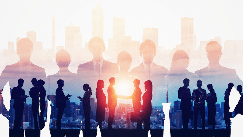 professional network